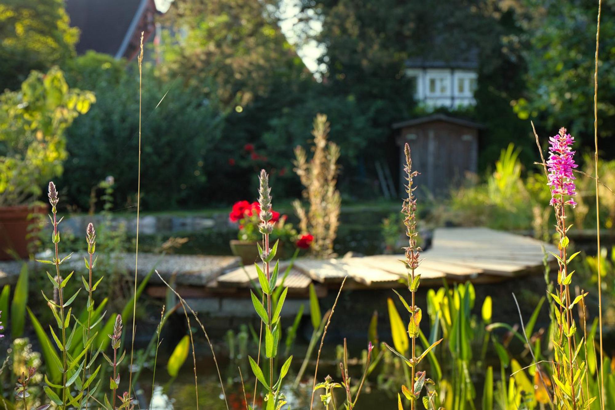 Gasthaus Benke, Fachwerkhaus In Westfalen Villa Datteln Esterno foto